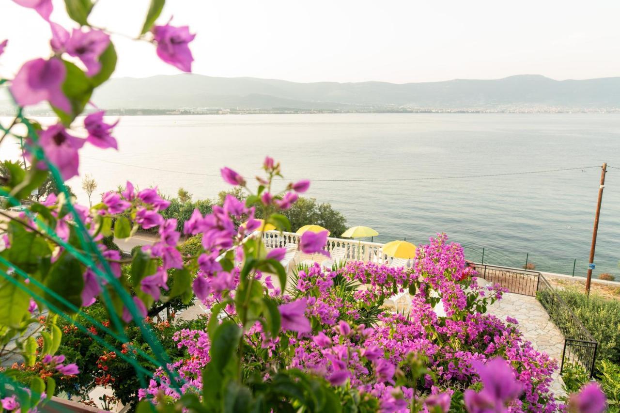 Villa Fjaba - By The Sea - With The Big Terraces & Great Sea View Trogir Exterior foto